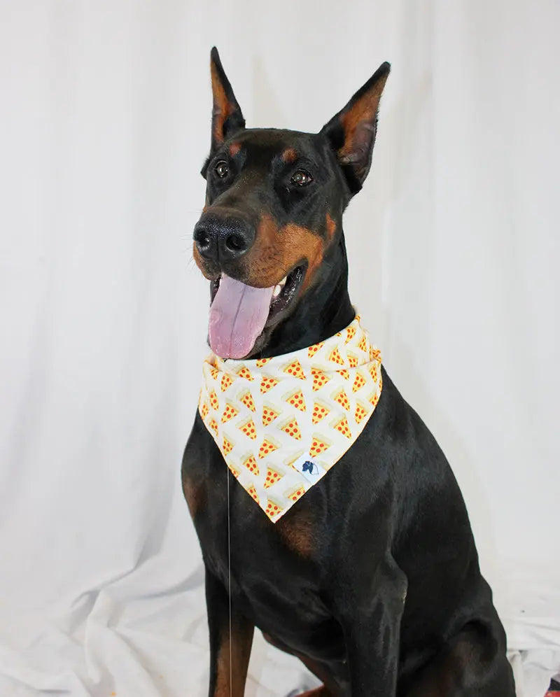 Pizza & Food Dog Bandana by Dog Bandana Co., pet accessory detail photo 3