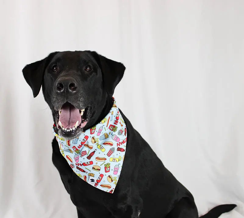 Pizza & Food Dog Bandana by Dog Bandana Co., pet accessory detail photo 4