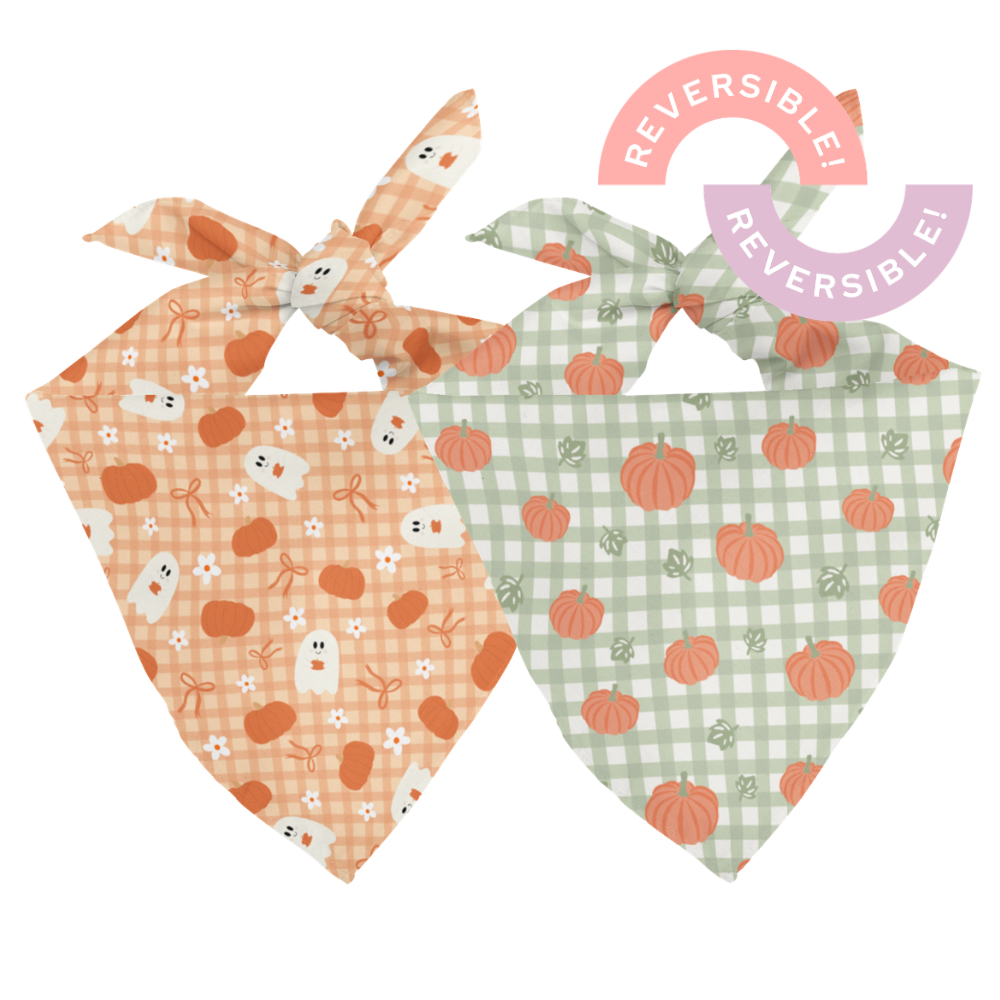 Plaid Ghost & Pumpkins Reversible Dog Bandana & Matching Scrunchie Set by Dog Bandana Co., product view 2