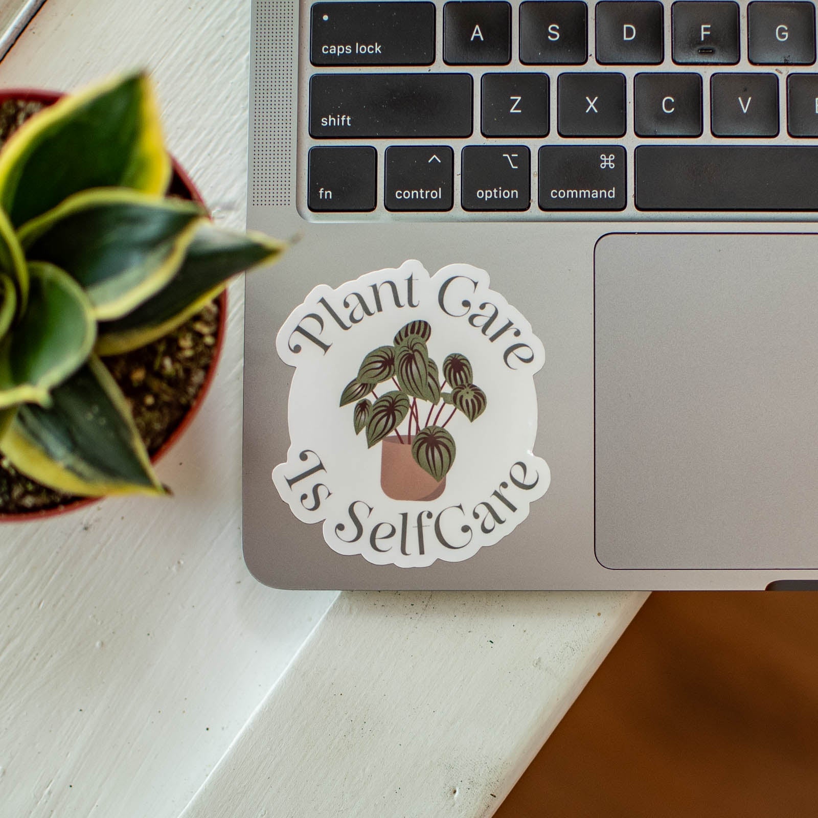 Plant Care is Selfcare - Sticker by Still Magnolia, vinyl decal main product photo