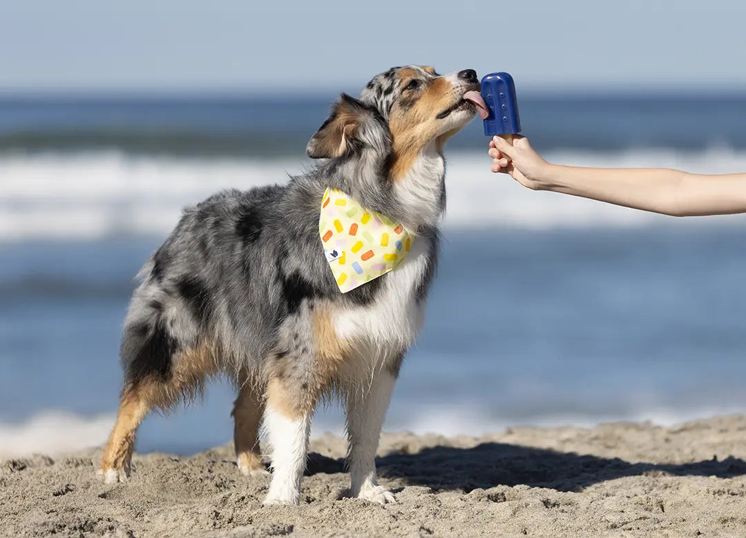 Popsicle Dog Bandana by Dog Bandana Co., pet accessory detail photo 3