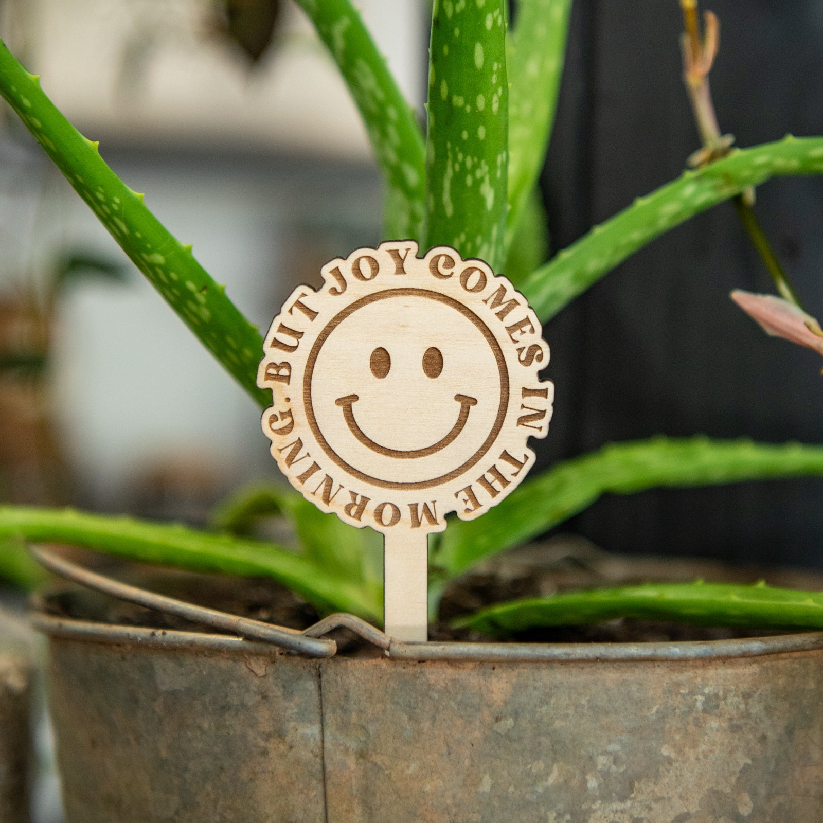 But Joy Comes In The Morning - Plant Stakes by Still Magnolia, plants main product photo
