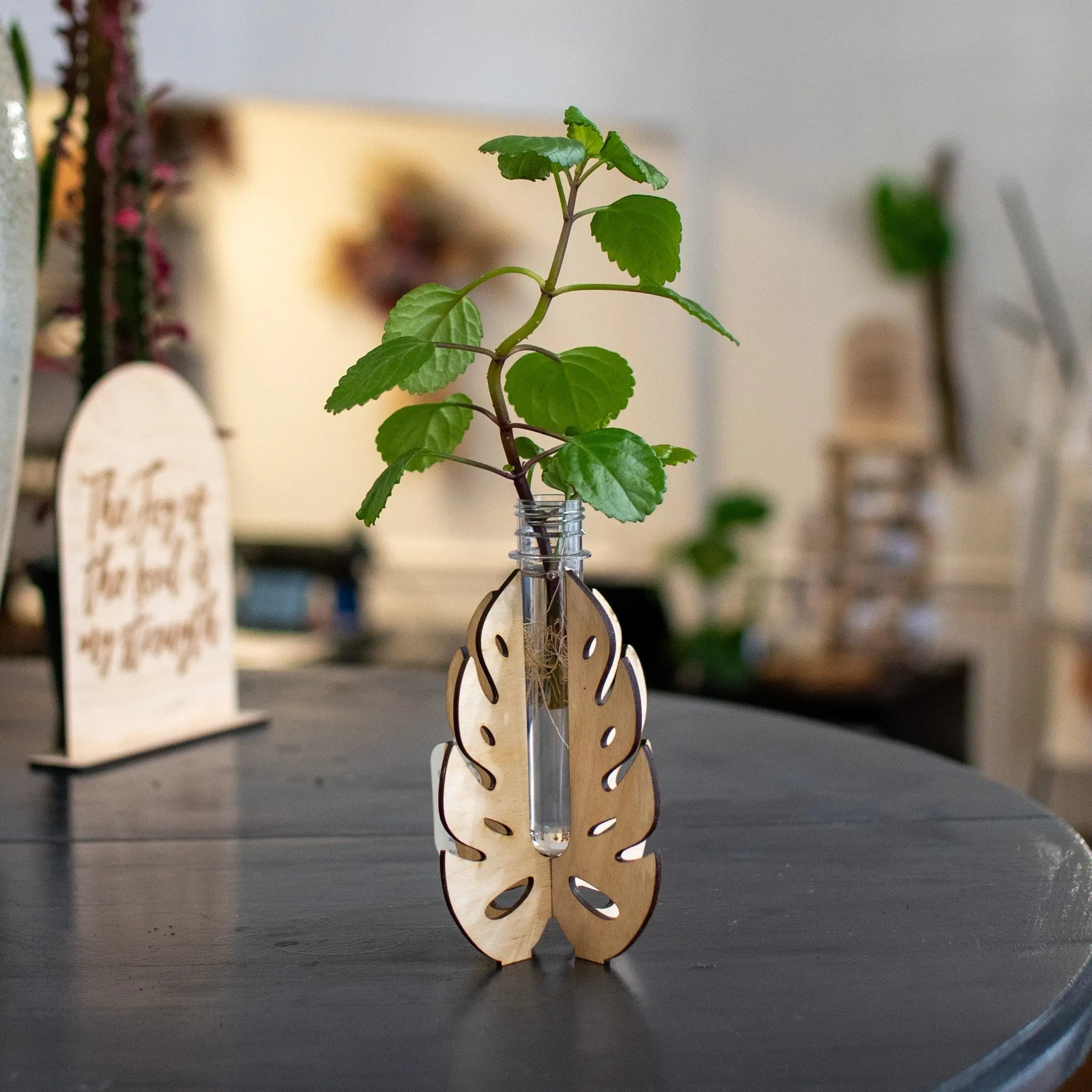 Propagation Station - Stand by Still Magnolia, plant supports main product photo