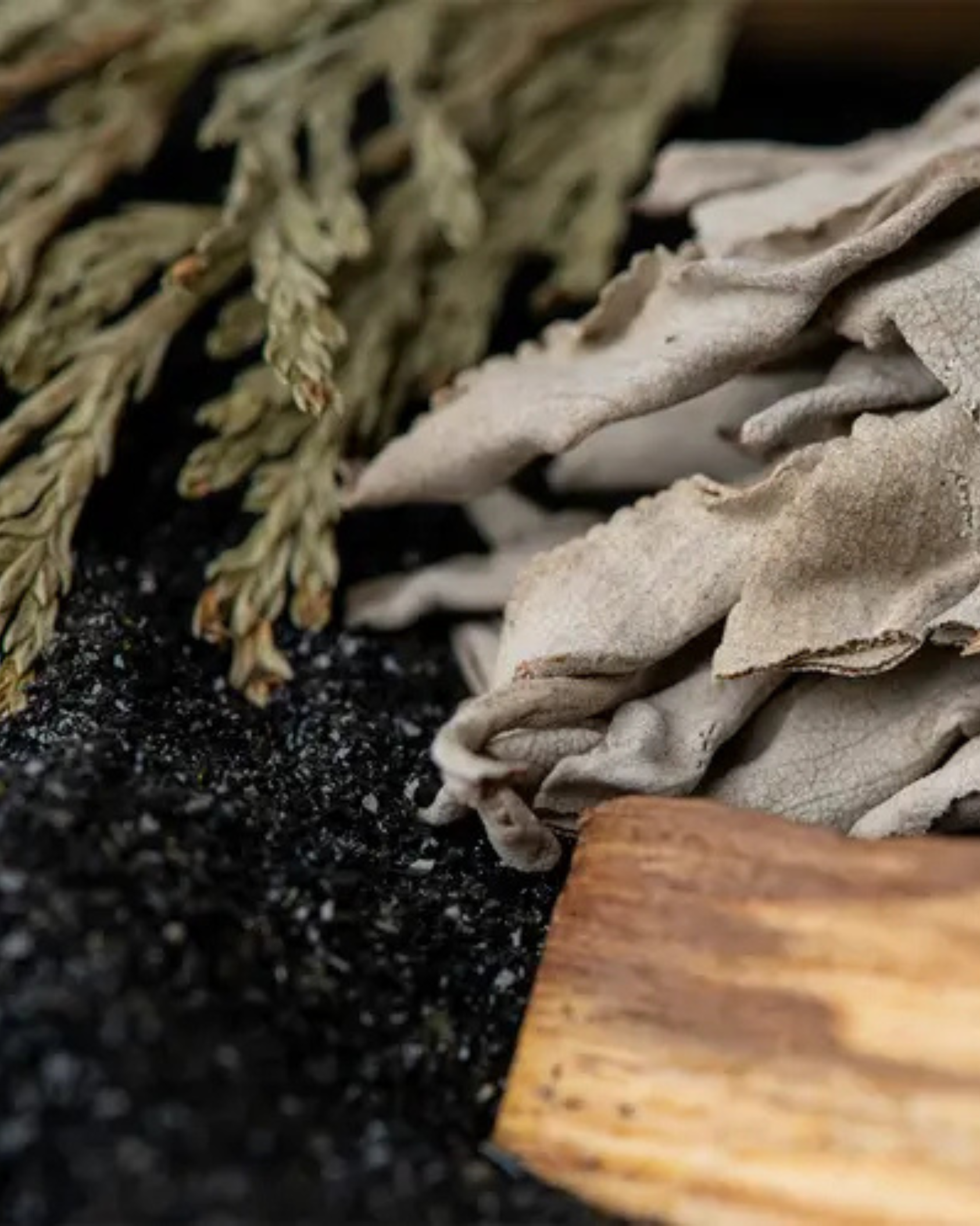 Sage + Sand | Calming Sage · Soft Florals · Warm Woods by Bode + Ev image 5