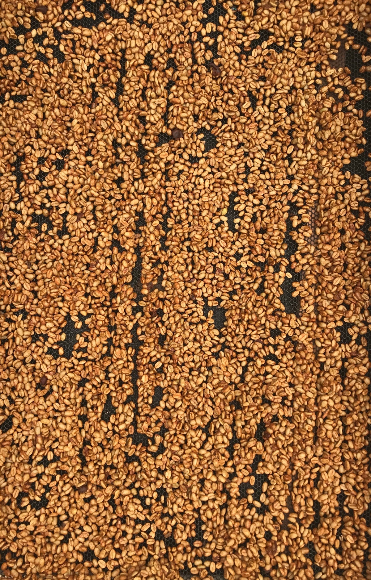 Washed Decaf by Sebastian Ramirez