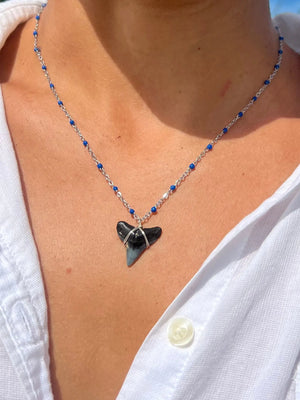 Silver Shark Tooth Necklace - Blue HALT