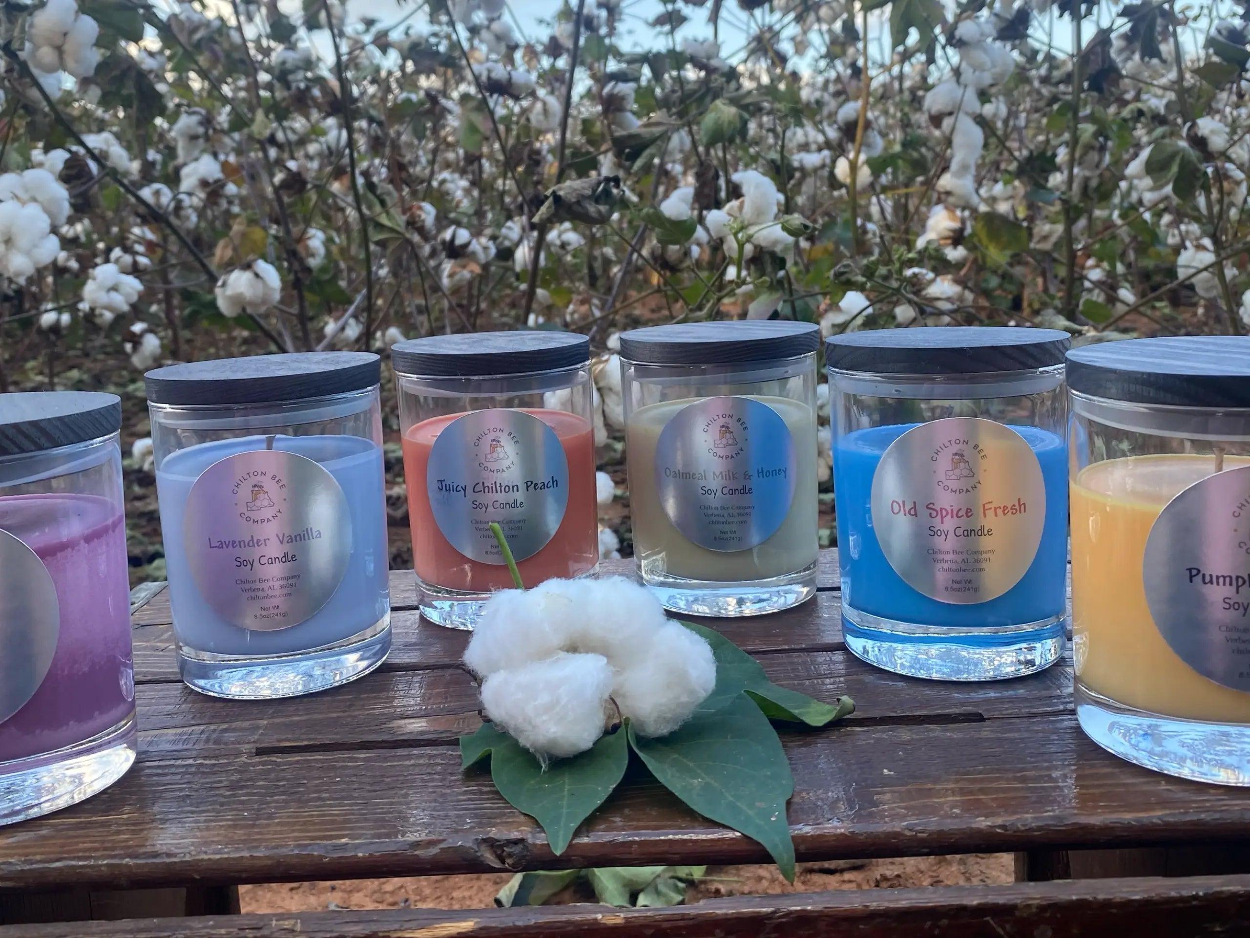 Single Wick Soy Candle by Chilton Bee Company