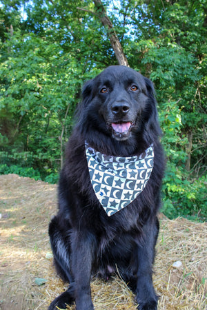 Skeleton Dog Bandana Dog Bandana Co.