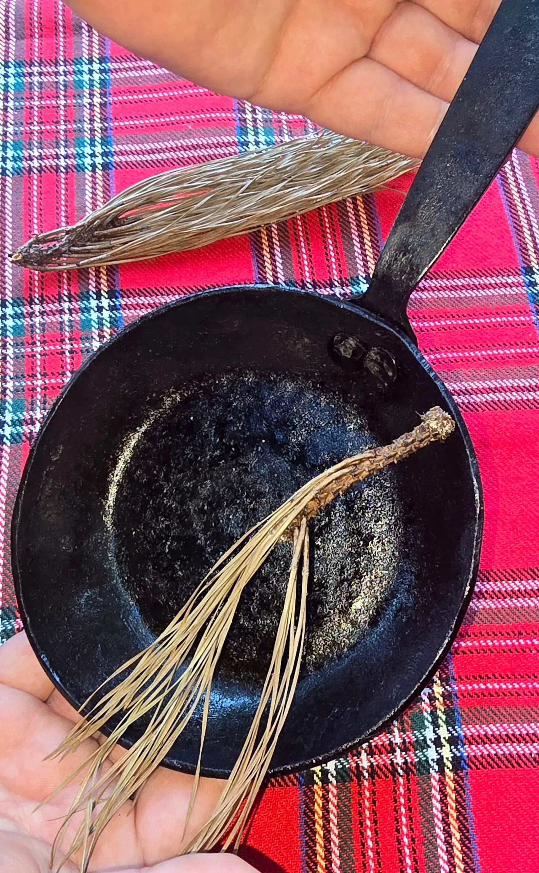 Skillet by Redbeard's Forge LLC, skillets main product photo