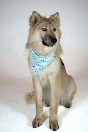 Smiles Dog Bandana by Dog Bandana Co., pet accessory detail photo 5