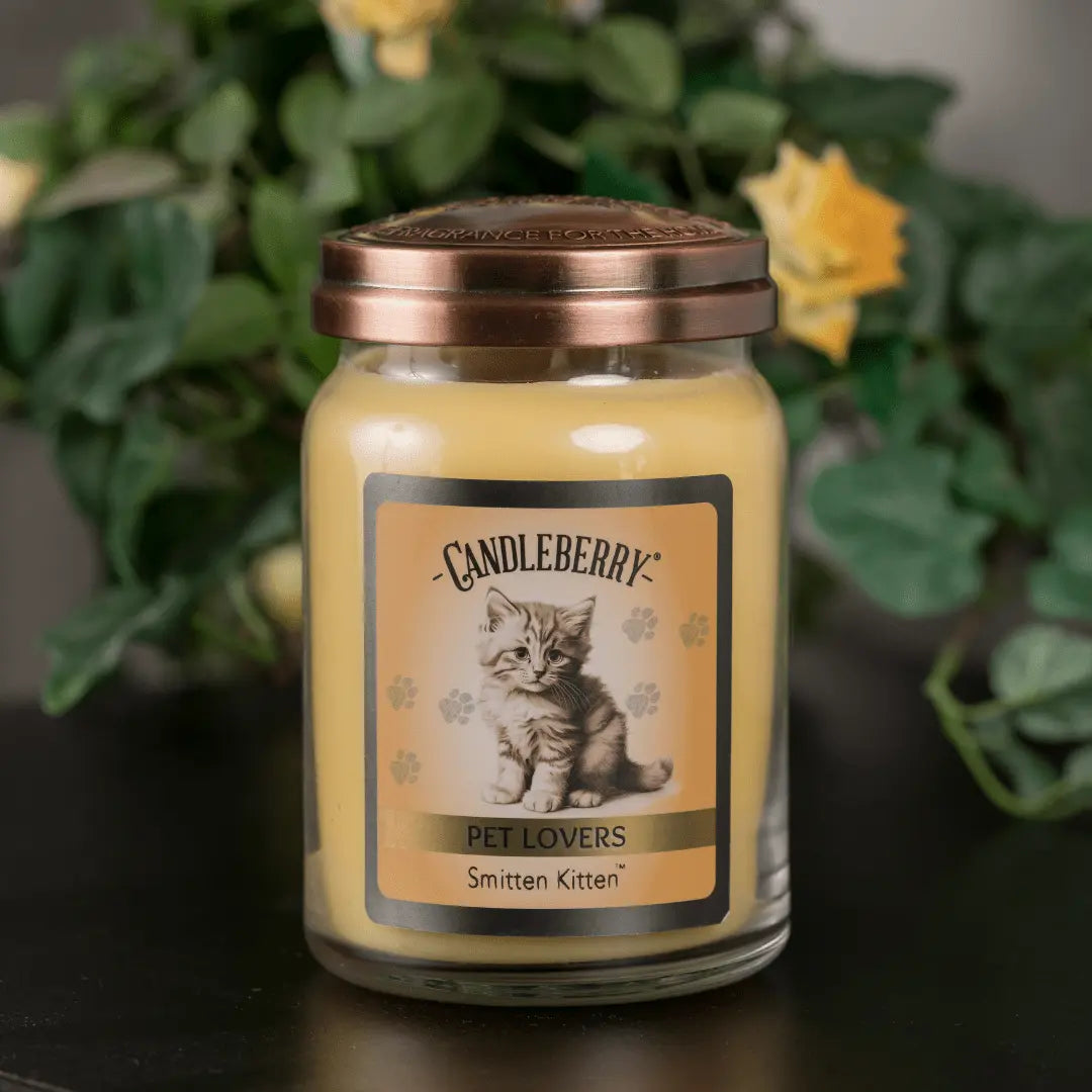 Smitten Kitten™ - Large Jar Candle (Collective) The Candleberry® Candle Company