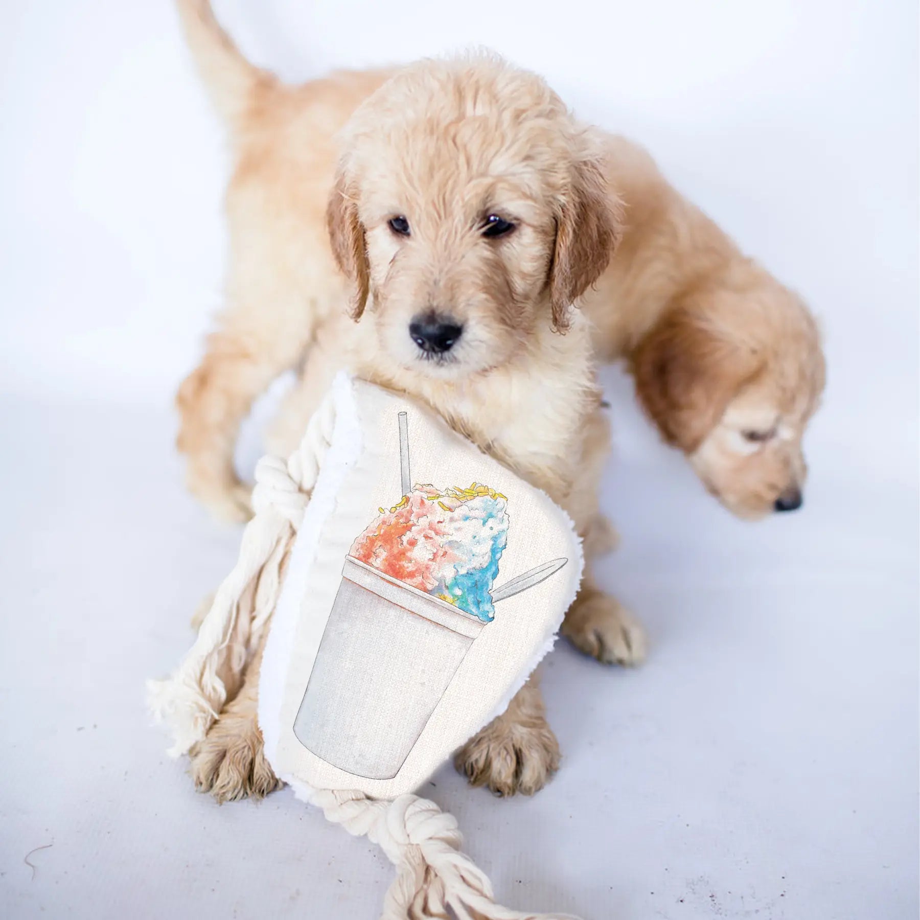 Snoball Dog Rope Toy by Nola Tawk, 3D printed gift detail photo 2