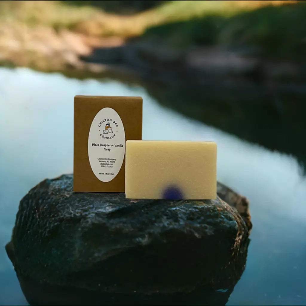 Chilton Bee Company's Black Raspberry Vanilla soap bar with package on a rock near water, showcasing product and packaging.