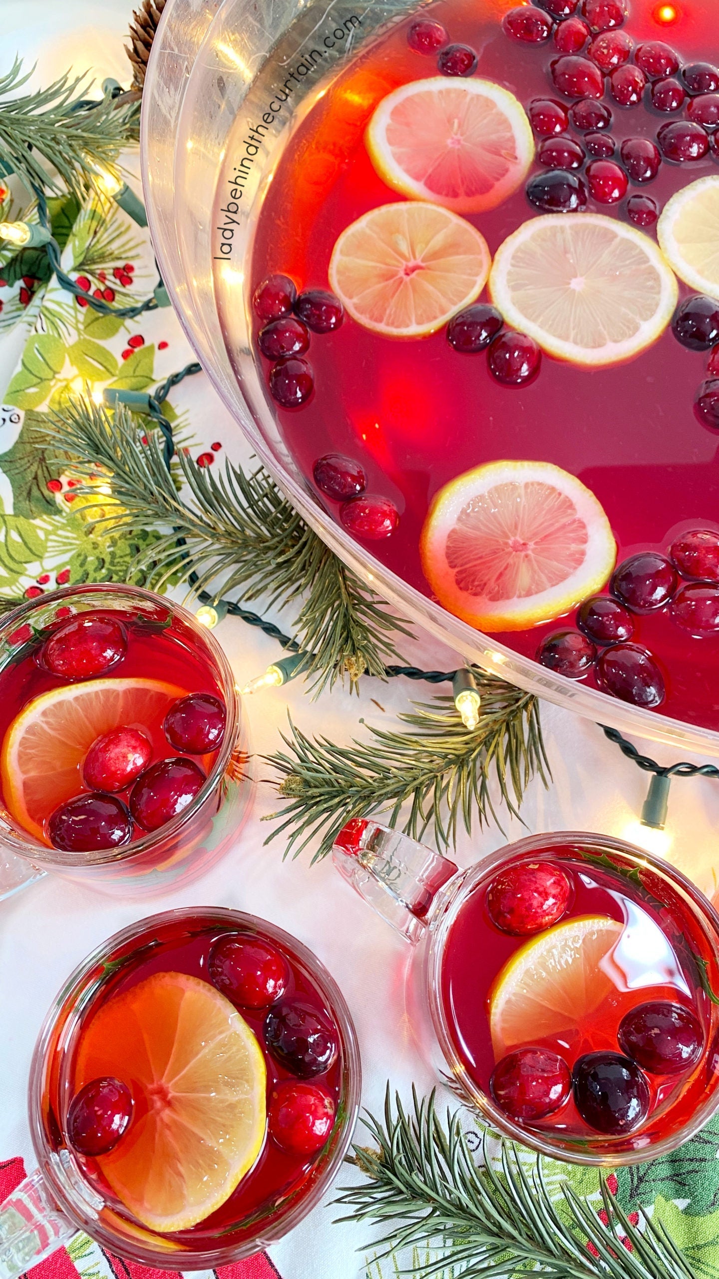 Exclusive Limited Edition Cranberry Lemonade by Igotchu Seasonings, Southern food gift detail photo 3