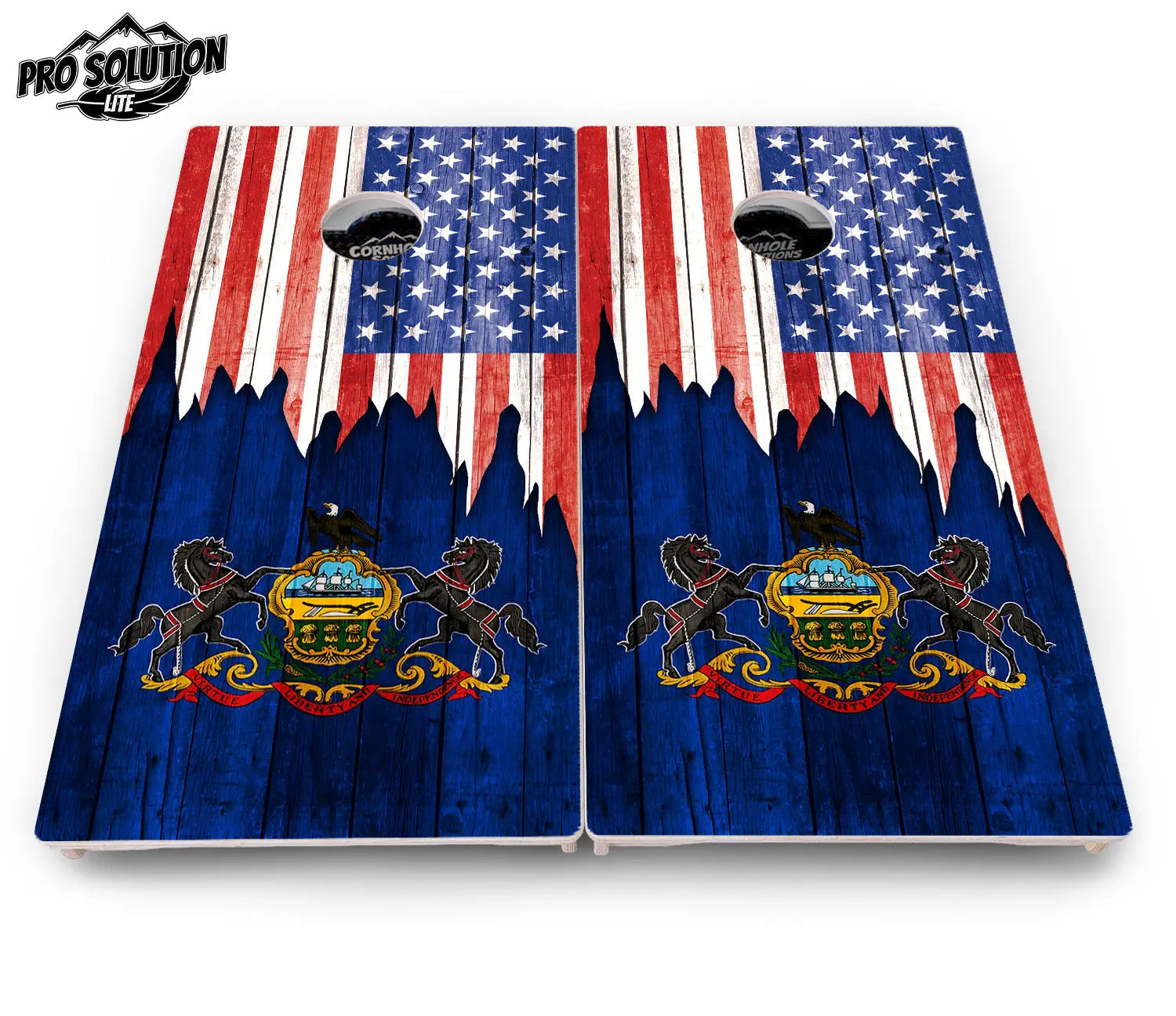 State Flag Designs New Mexico to South Carolina Cornhole Boards - Pro Solution Lite Series by Cornhole Solutions, Southern home decor detail photo 19