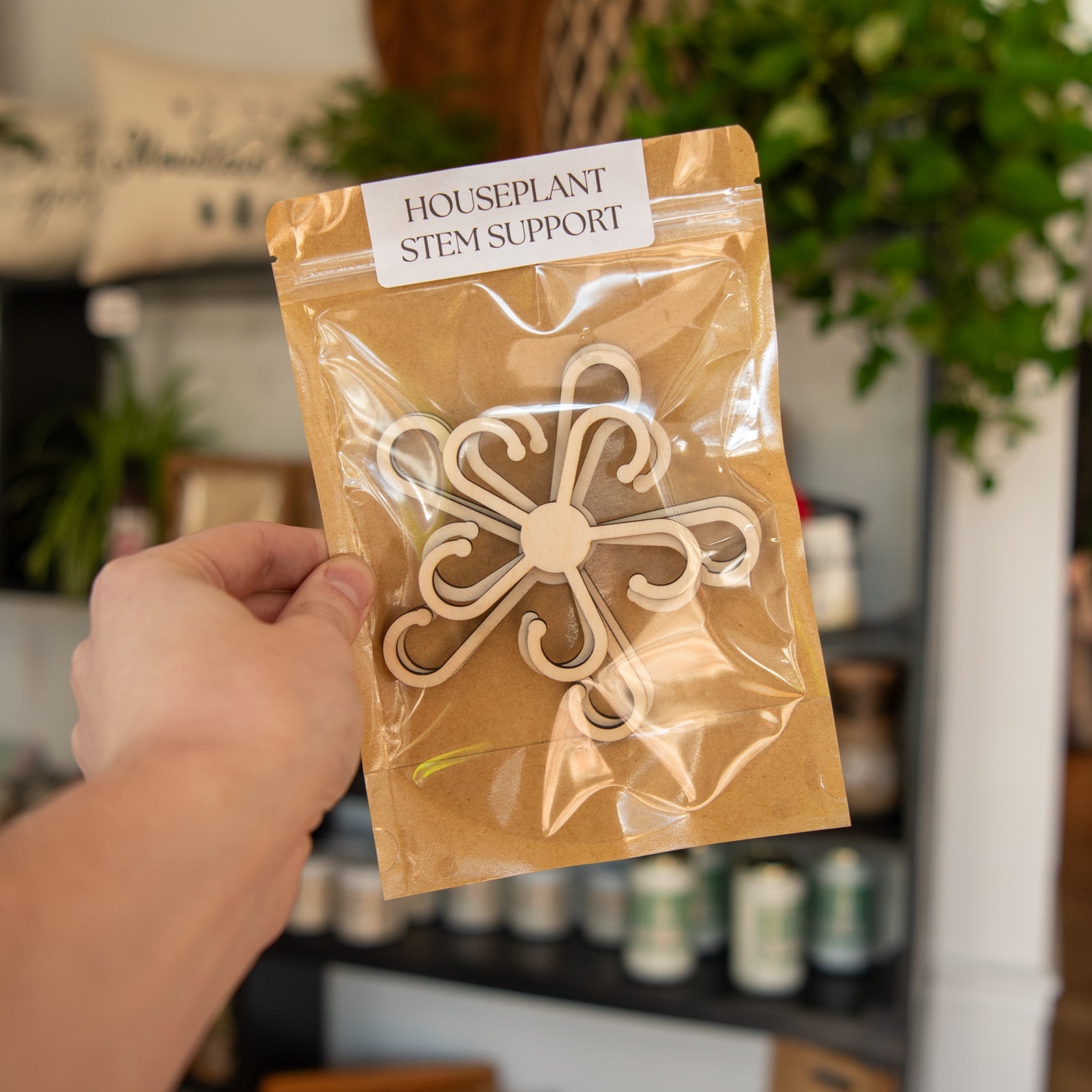 Stem Supports by Still Magnolia, plant supports main product photo