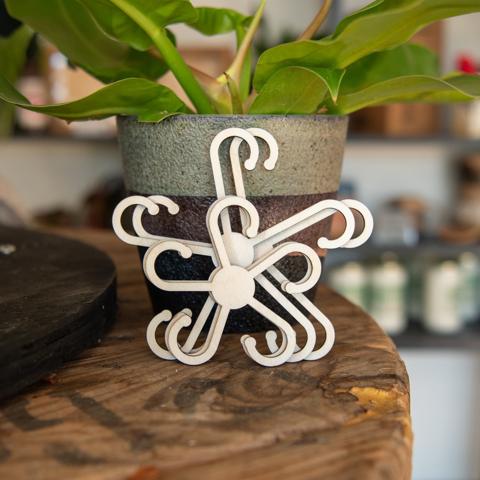 Stem Supports by Still Magnolia, plant supports detail photo 2