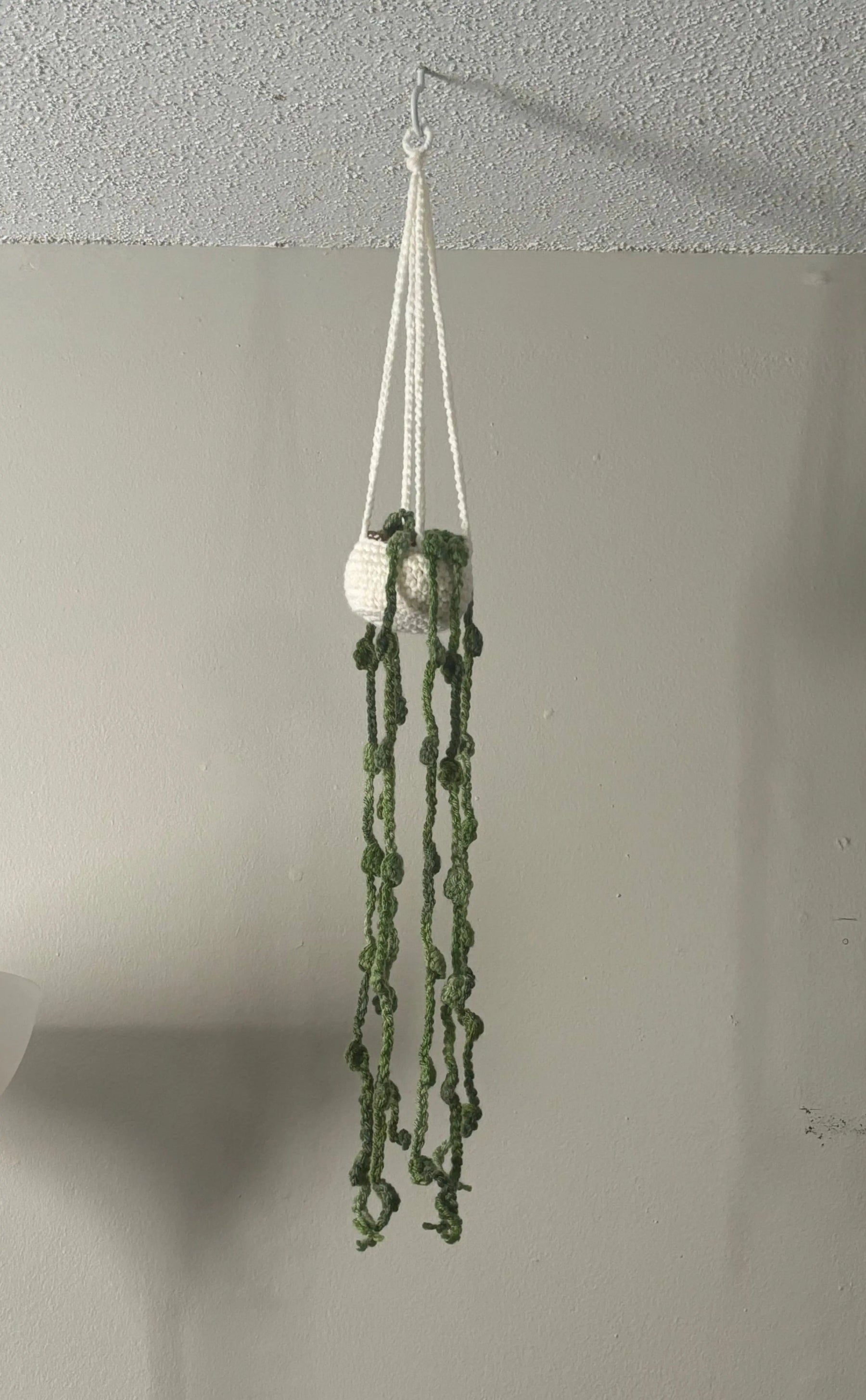 Strings of Pearls Crocheted Hanging Plant by Main Street Collective - Faux Succulent Home Decor