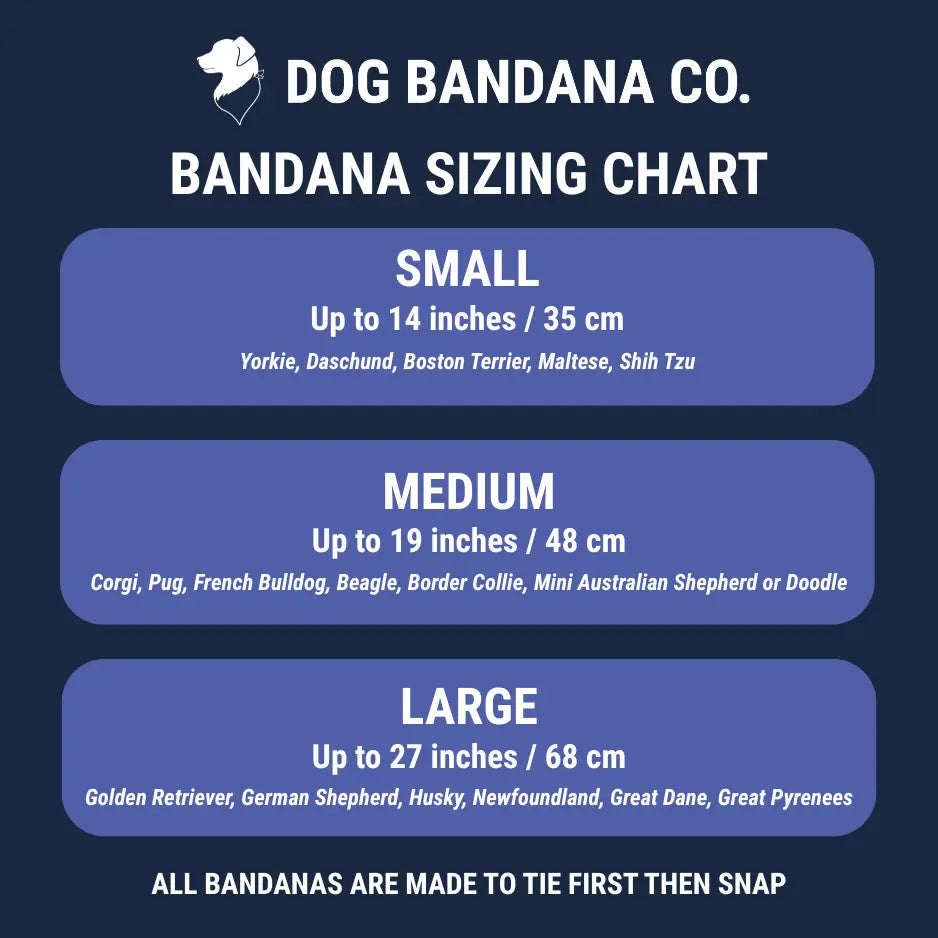 Sunny Side Dog Bandana Dog Bandana Co.