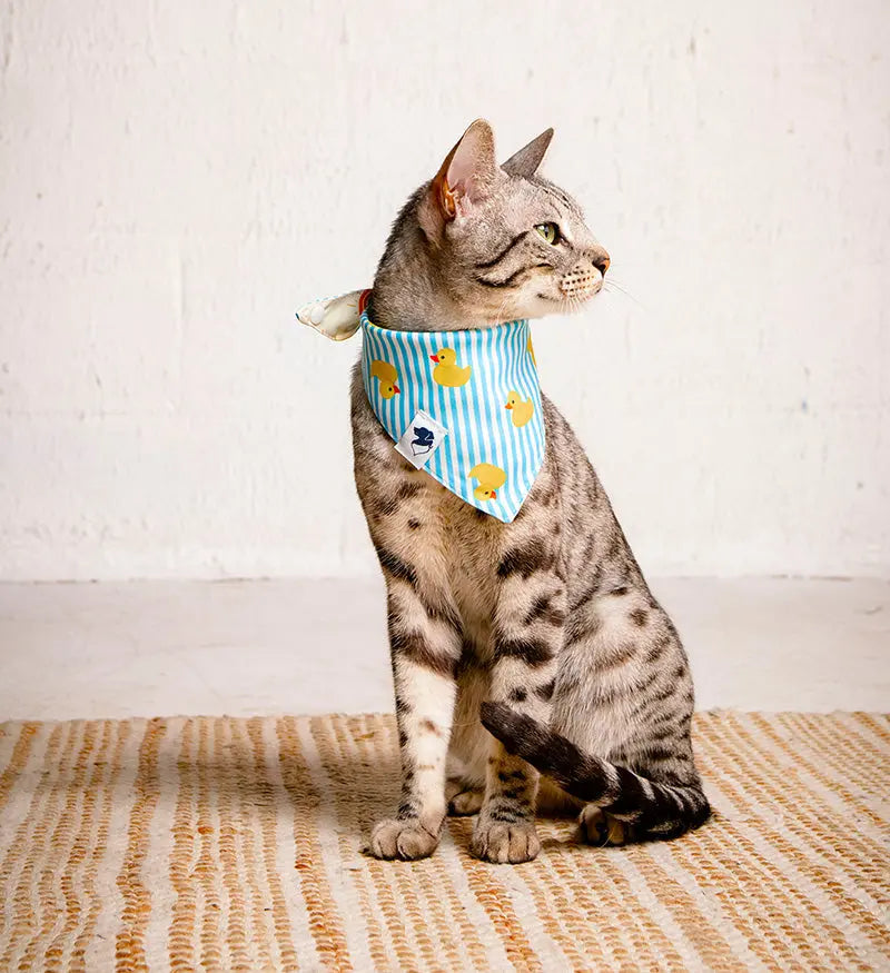 Sunny Side Dog Bandana Dog Bandana Co.