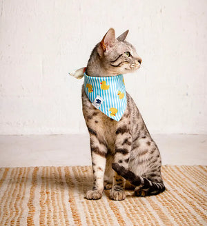 Sunny Side Dog Bandana Dog Bandana Co.