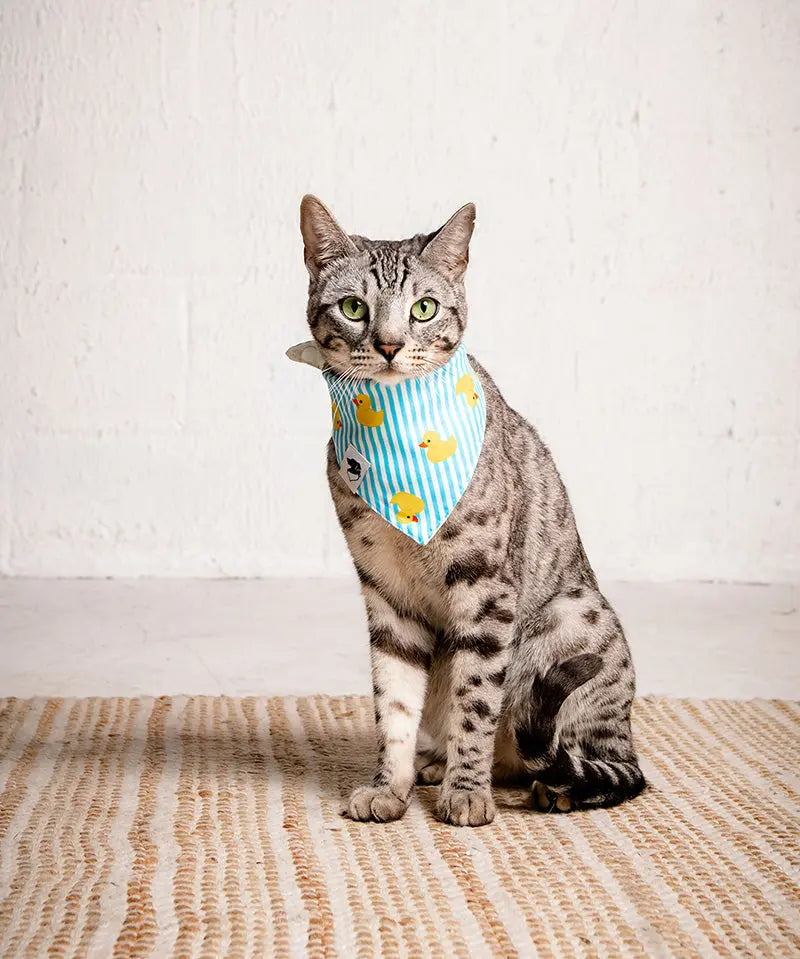 Sunny Side Dog Bandana Dog Bandana Co.