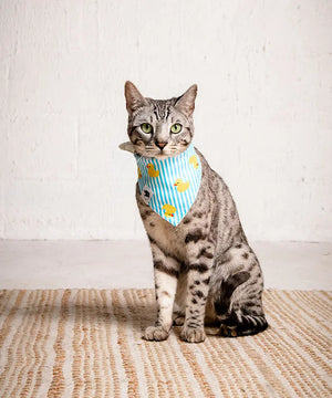 Sunny Side Dog Bandana Dog Bandana Co.