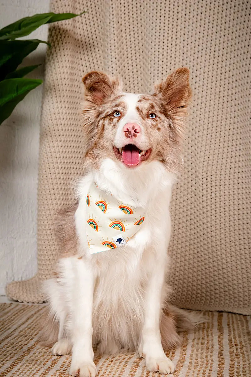Sunny Side Dog Bandana Dog Bandana Co.