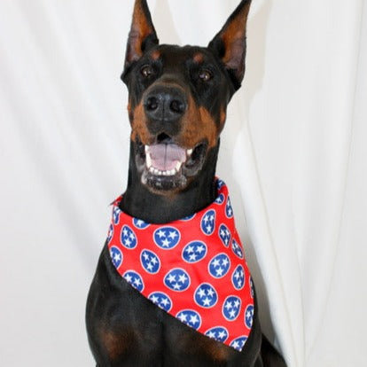 Nashville Tennessee Reversible Dog Bandana