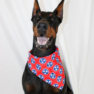 Nashville Tennessee Reversible Dog Bandana