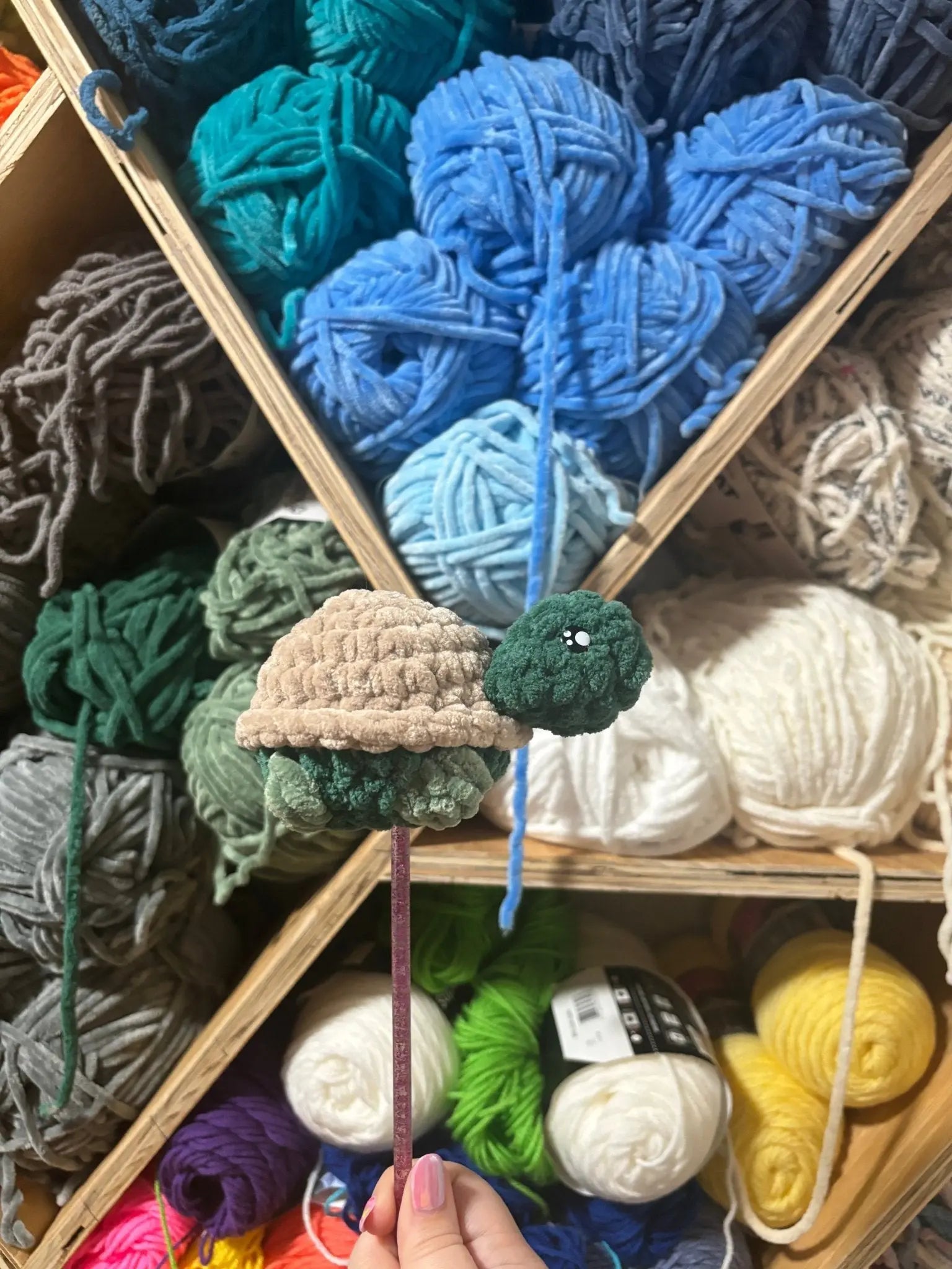 Crocheted Turtle Toy "Tom the Turtle" in Yarn Storage | Main Street Collective