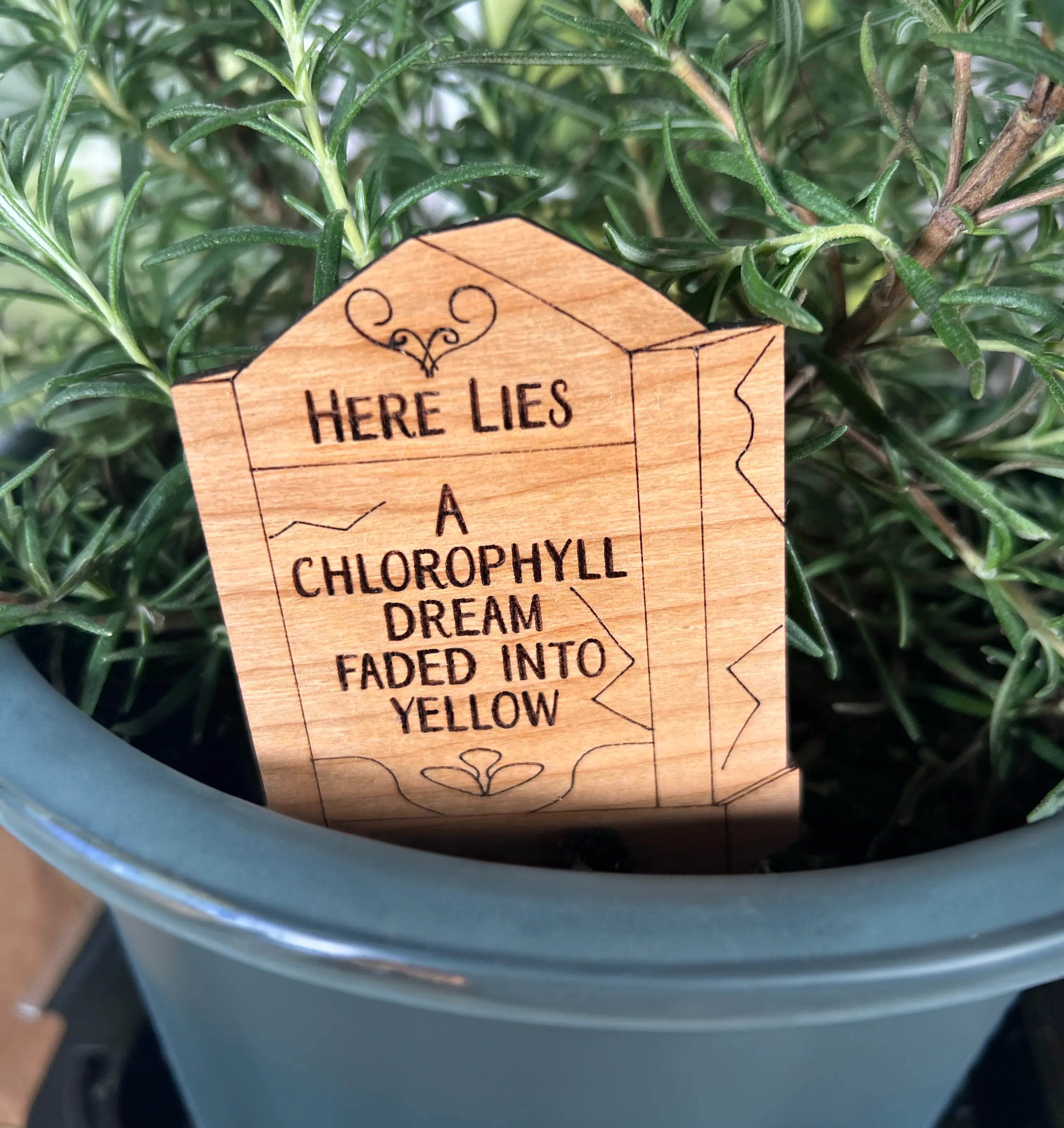 Tombstone Plant Picks (6 Designs) Artspeak Studio