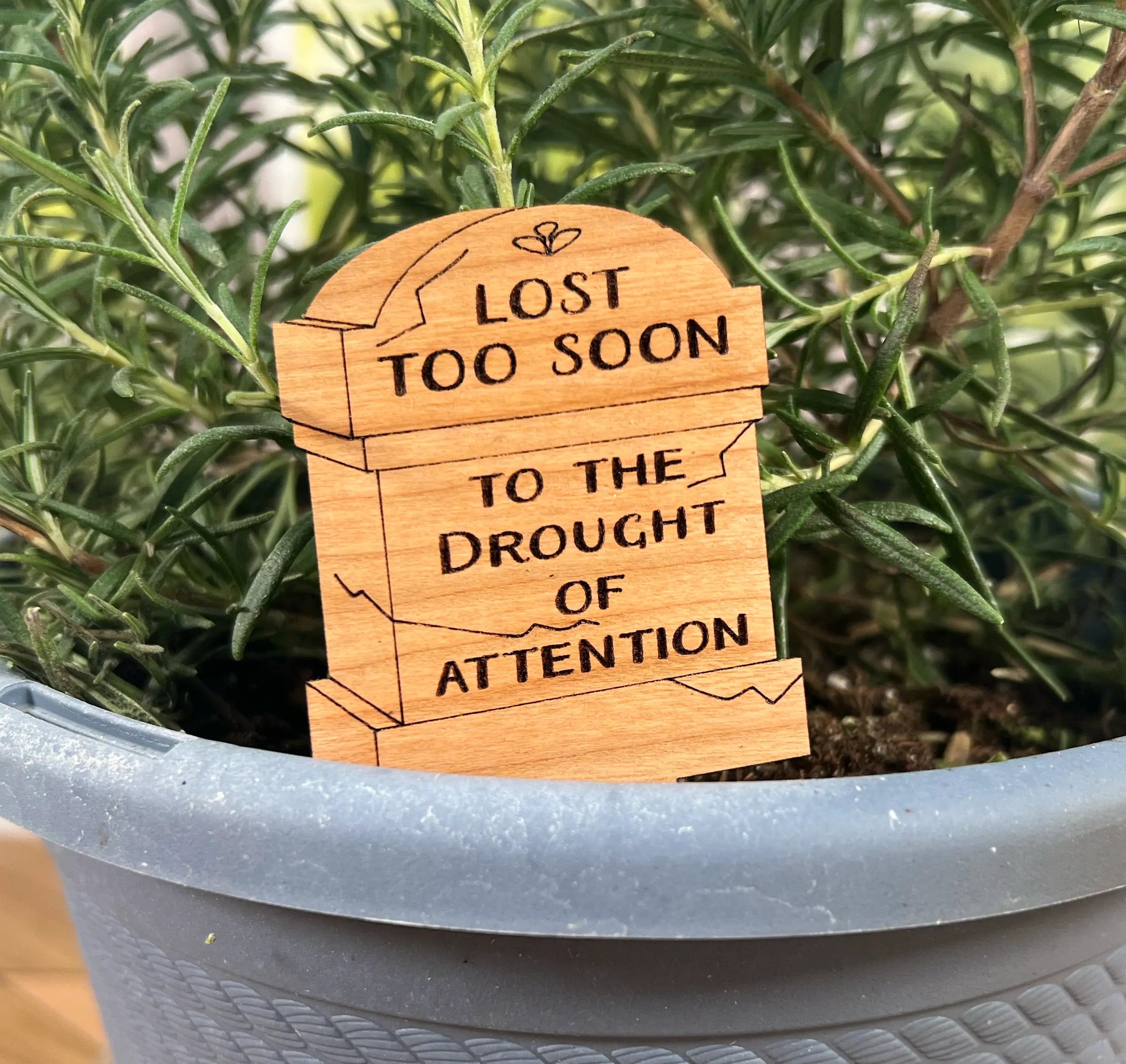 Tombstone Plant Picks (6 Designs) Artspeak Studio