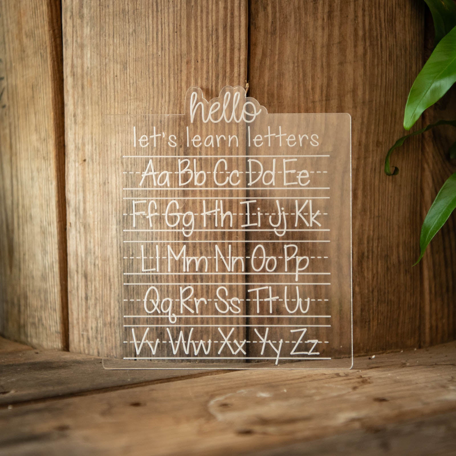 ABCs Trace and Erase Learning Board by Still Magnolia, pet accessory detail photo 2