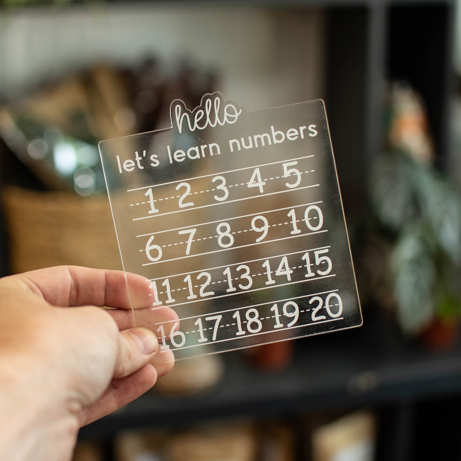 123s Trace and Erase Learning Board by Still Magnolia, pet accessory main product photo