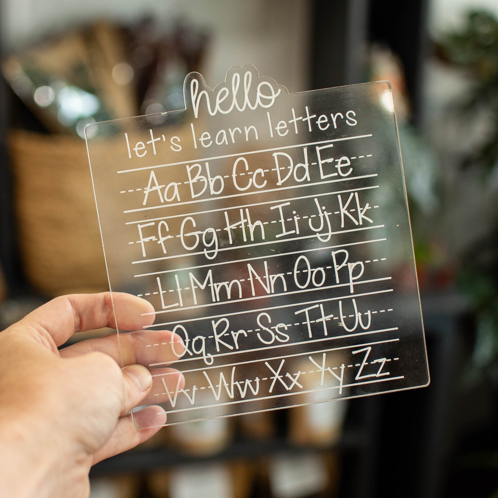 Shapes Trace and Erase Learning Board by Still Magnolia, pet accessory main product photo