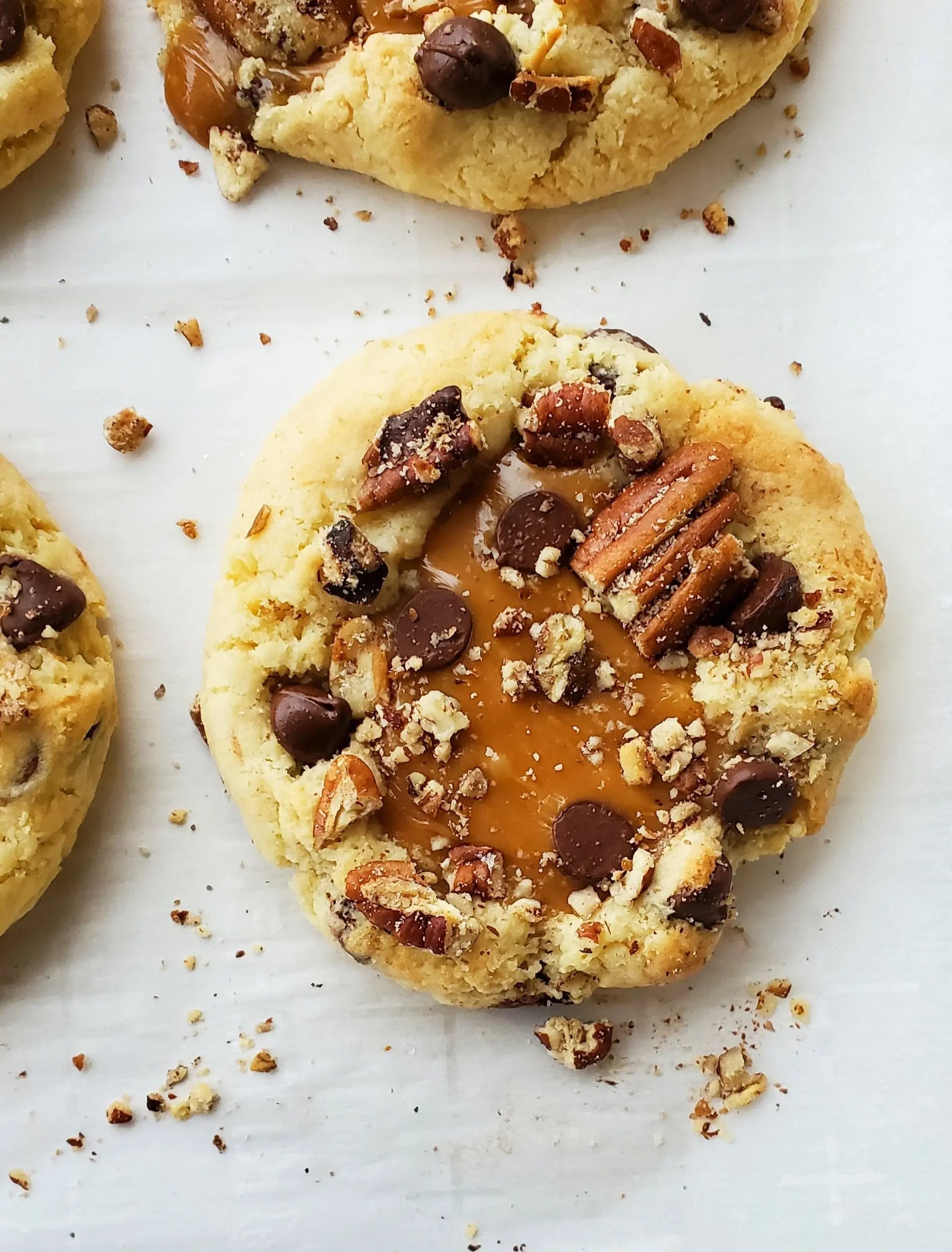 Turtle Let's Get Baked Artisan Desserts
