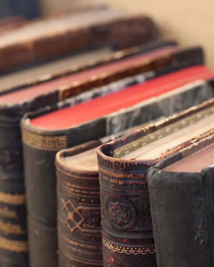 Aged Books | Rich Leather · Warm Woods by Bode + Ev image 5