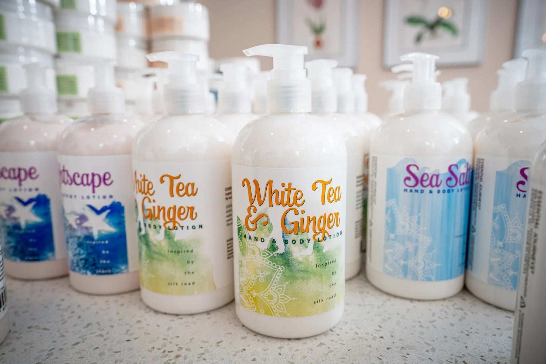 WHITE TEA & GINGER HAND & BODY LOTION 16 oz or 2 oz Essential Journeys