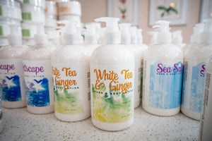 WHITE TEA & GINGER HAND & BODY LOTION 16 oz or 2 oz Essential Journeys