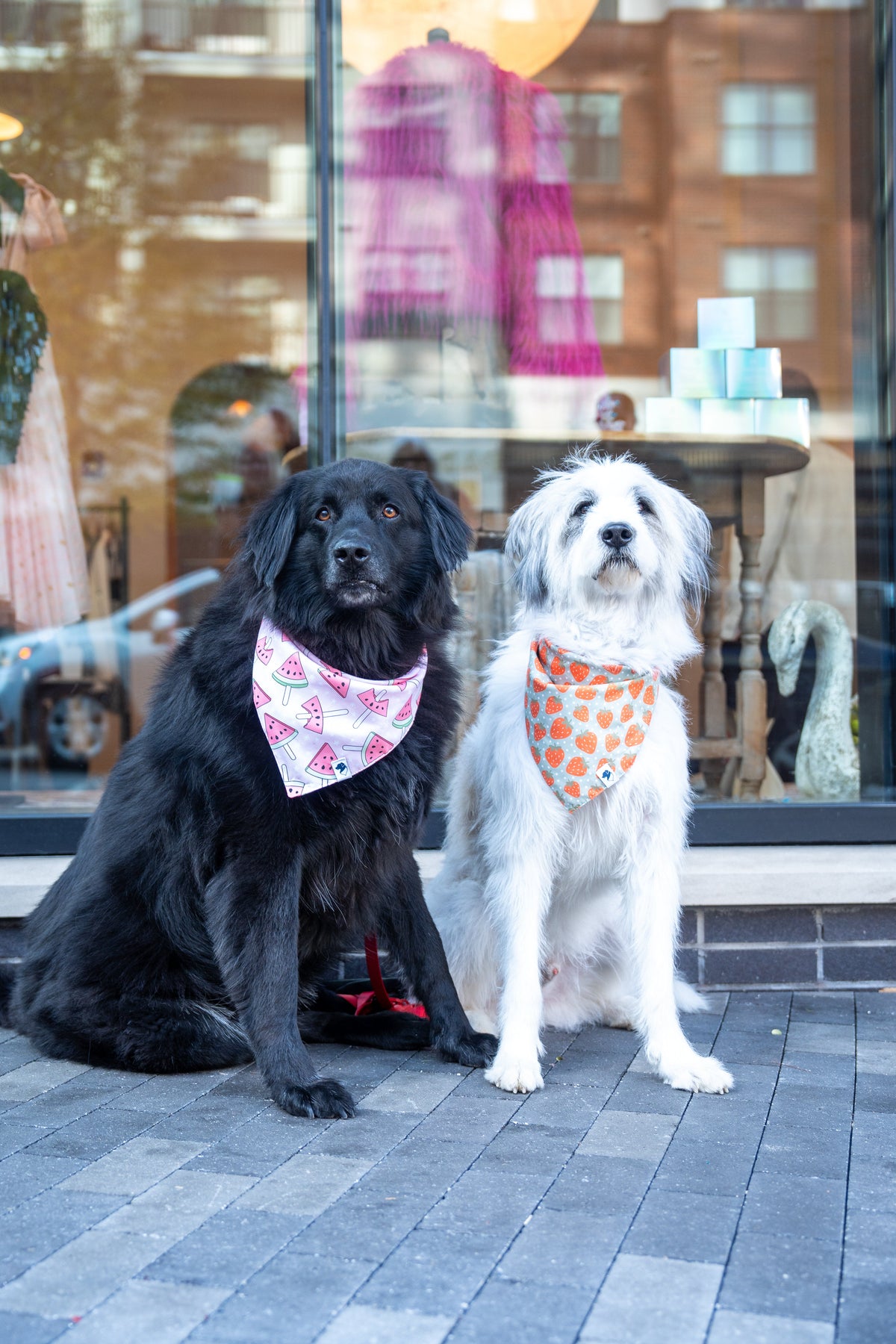 Watermelon & Strawberry Reversible Dog Bandana & Matching Scrunchie Set