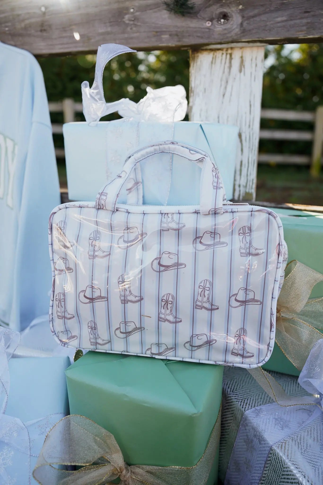 Western Blues Striped - Clear Coat Toiletry Case by KenzKustomz, natural skincare main product photo
