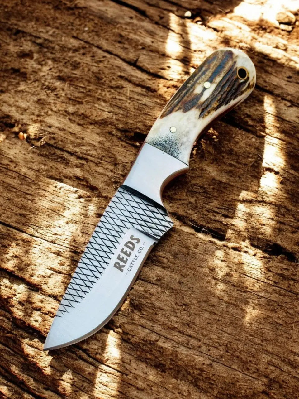 Western Knife with 3.4" Rasp Steel Blade & Antler Horn Handle Damascus Knife Store