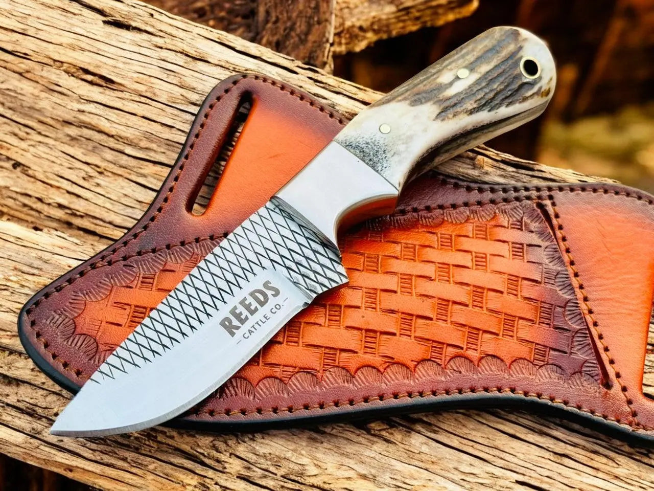 Western Knife with 3.4" Rasp Steel Blade & Antler Horn Handle Damascus Knife Store
