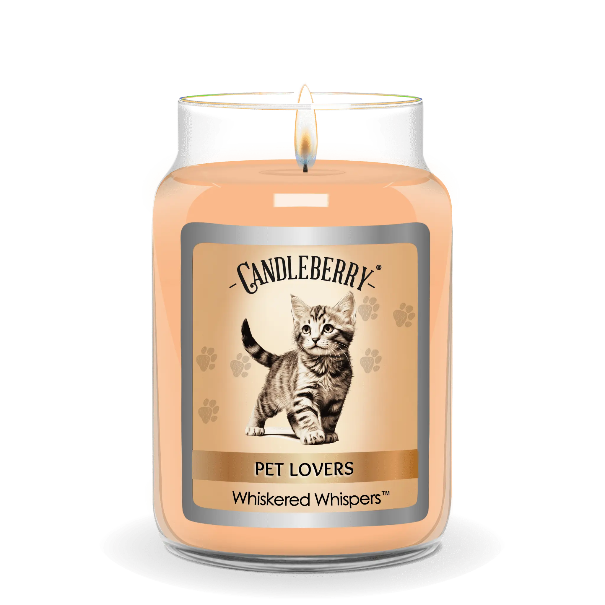 Whiskered Whispers™ - Large Jar Candle (Collective) by The Candleberry® Candle Company, scented candle detail photo 2