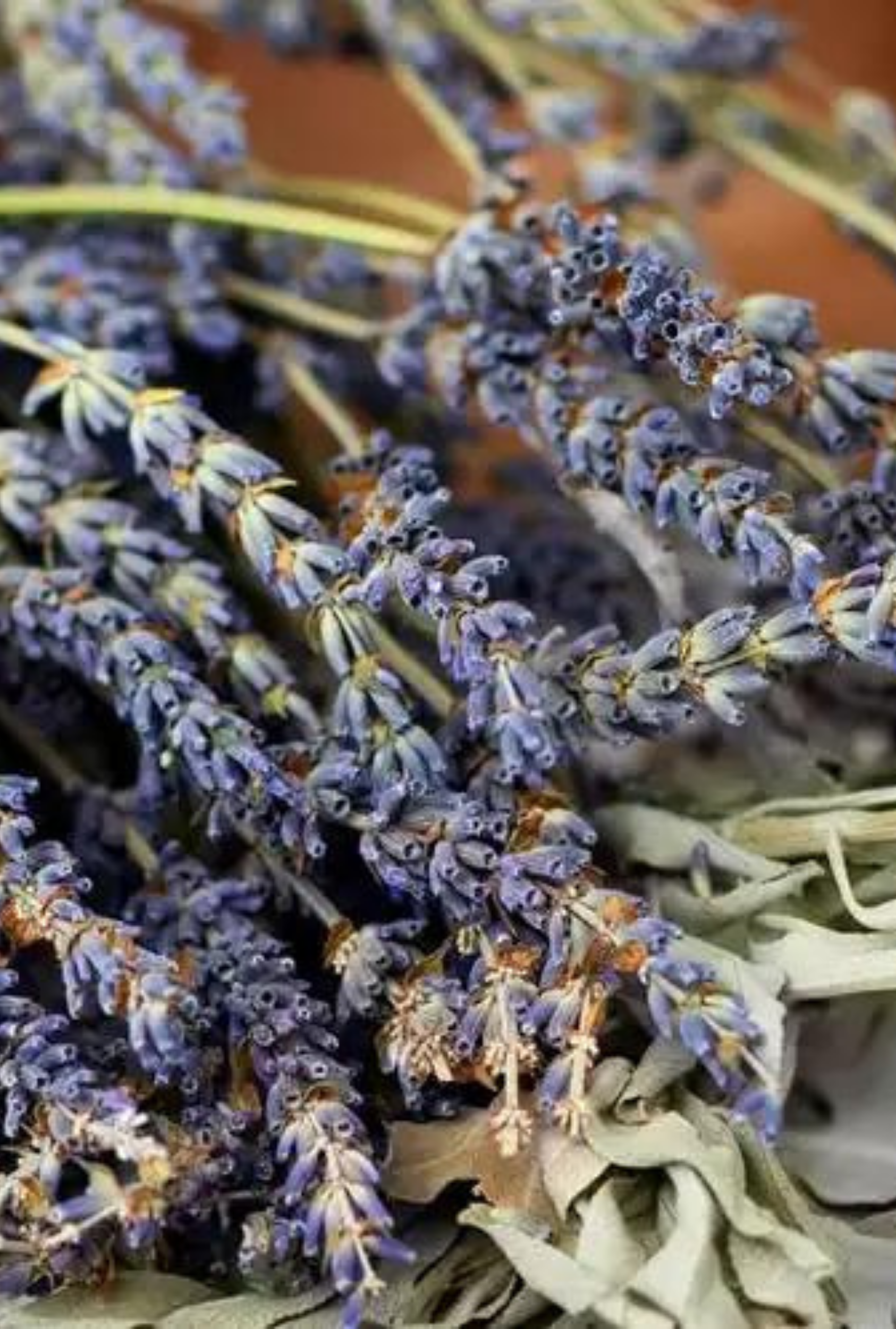 White Sage + Lavender | Herbal Sage · Soft Lavender · Warm Woods by Bode + Ev image 2