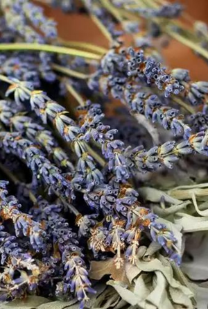 White Sage + Lavender | Herbal Sage · Soft Lavender · Warm Woods by Bode + Ev image 2