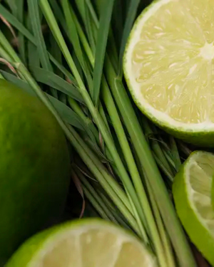Lemongrass + Lime | Clean Citrus · Balanced Herbal · Soft Musk by Bode + Ev image 5