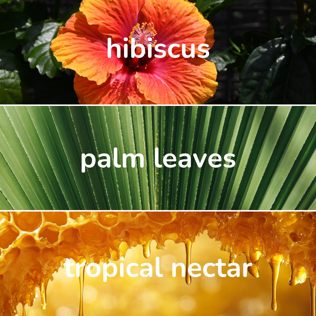 Polynesian Candle by Lucid Coast Co. product image 2