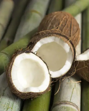 Bamboo + Coconut | Fresh Bamboo · Creamy Coconut by Bode + Ev image 5